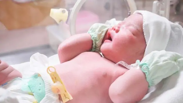 7 Rekomendasi Susu Formula untuk Bayi Baru Lahir