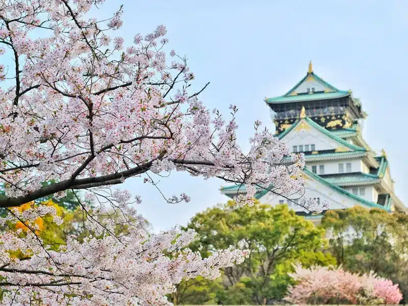 Alasan Perempuan Harus Coba Kerja Magang di Jepang